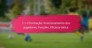 1-1-3 Formação: Posicionamento dos jogadores, Funções, Eficácia tática