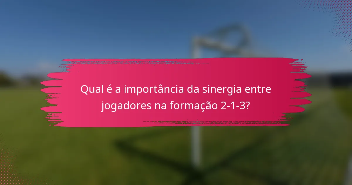 Qual é a importância da sinergia entre jogadores na formação 2-1-3?